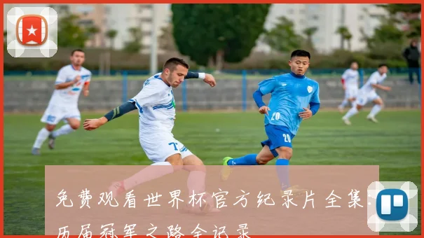 免费观看世界杯官方纪录片全集：历届冠军之路全记录